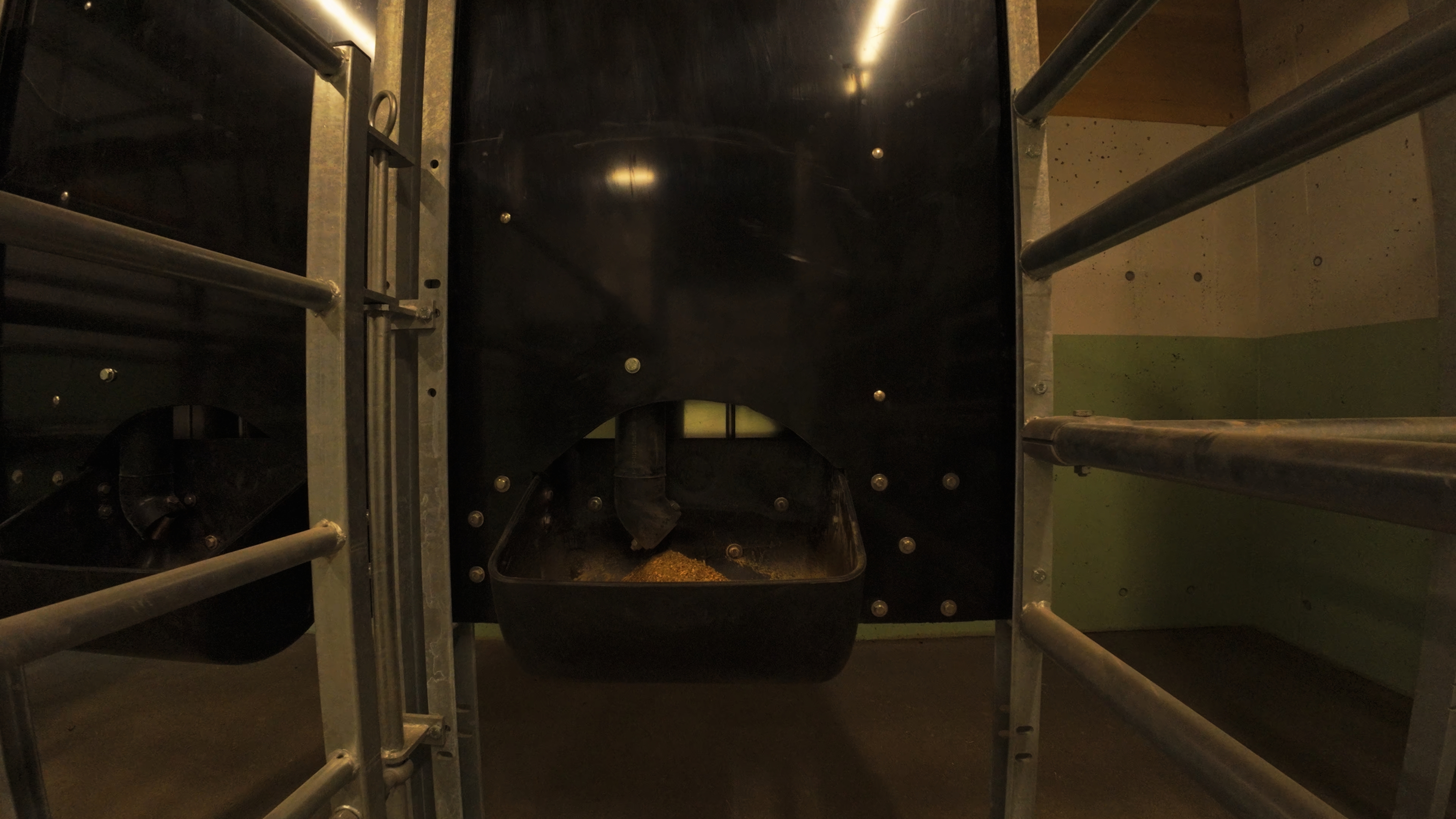 Melkstand Alpina Fütterung